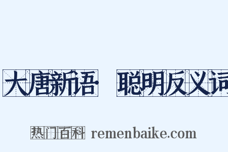 大唐新语·聪明反义词是什么意思的图片